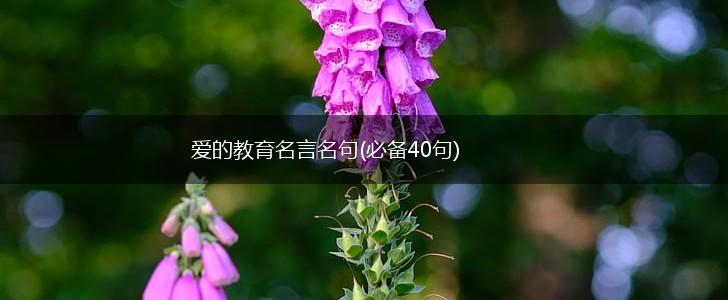 爱的教育名言名句(必备40句),第1张 爱的教育名言名句(必备40句),第1张