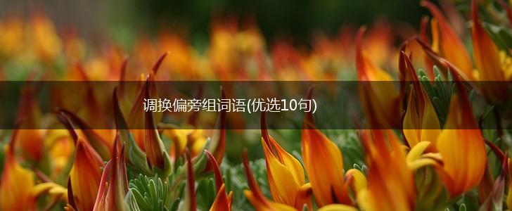 调换偏旁组词语(优选10句),第1张