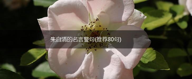 朱自清的名言警句(推荐80句),第1张