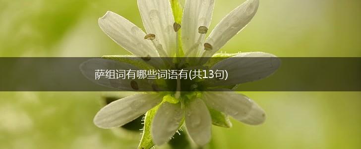 萨组词有哪些词语有(共13句),第1张