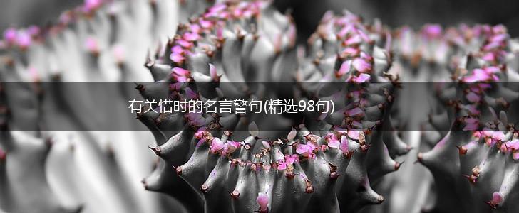 有关惜时的名言警句(精选98句),第1张