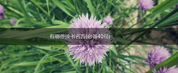 有哪些读书名言(必备40句),第1张