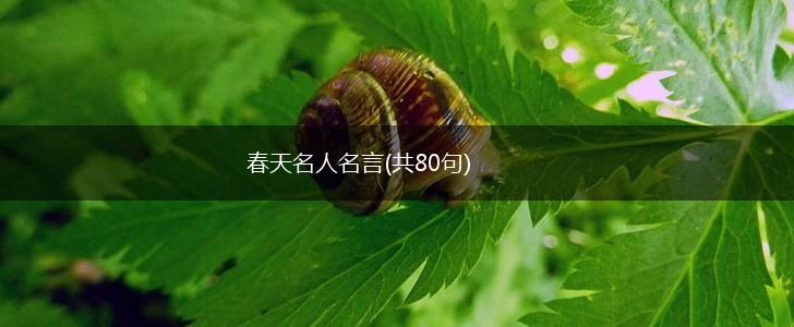 春天名人名言(共80句),第1张