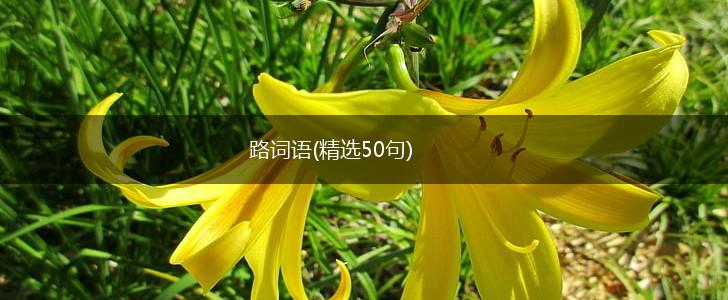 路词语(精选50句),第1张 路词语(精选50句),第1张