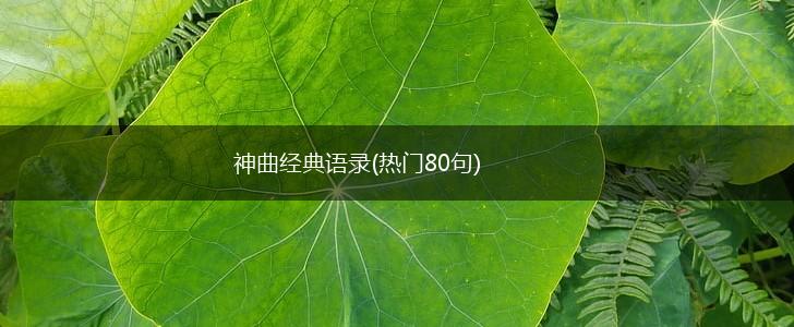神曲经典语录(热门80句),第1张