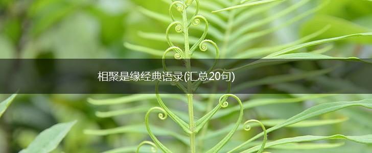 相聚是缘经典语录(汇总20句),第1张