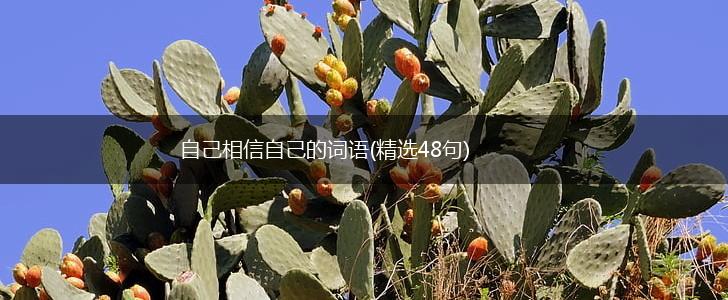 自己相信自己的词语(精选48句),第1张 自己相信自己的词语(精选48句),第1张