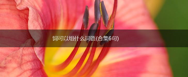 饲可以组什么词语(合集6句),第1张