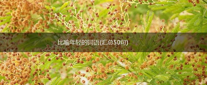 比喻年轻的词语(汇总50句),第1张 比喻年轻的词语(汇总50句),第1张