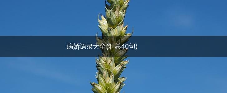 病娇语录大全(汇总40句),第1张