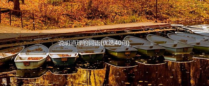 说明道理的词语(优选40句),第1张