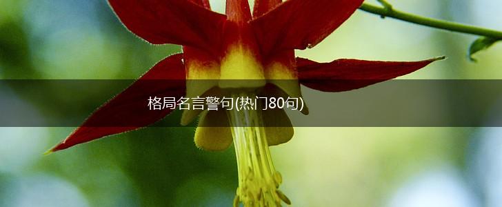 格局名言警句(热门80句),第1张