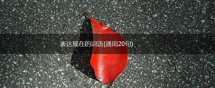 表达现在的词语(通用20句),第1张 表达现在的词语(通用20句),第1张