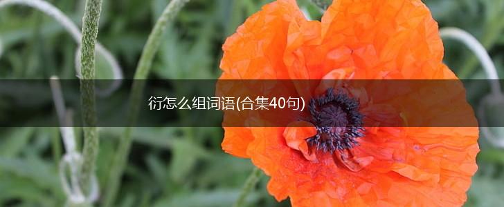 衍怎么组词语(合集40句),第1张