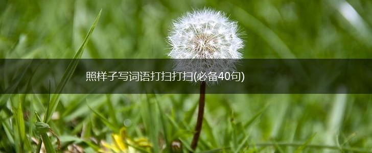 照样子写词语打扫打扫(必备40句),第1张