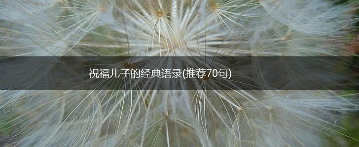 祝福儿子的经典语录(推荐70句),第1张