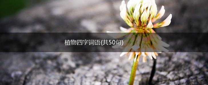 植物四字词语(共50句),第1张