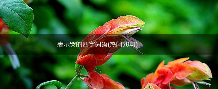 表示哭的四字词语(热门50句),第1张