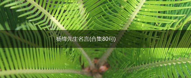 杨绛先生名言(合集80句),第1张 杨绛先生名言(合集80句),第1张