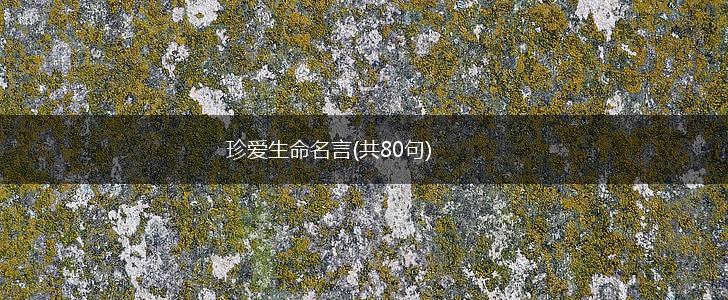 珍爱生命名言(共80句),第1张