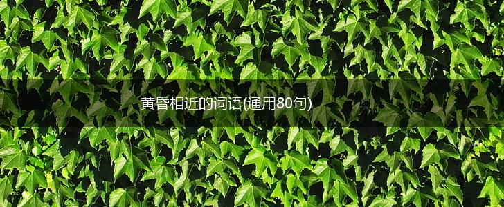 黄昏相近的词语(通用80句),第1张