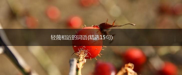 轻蔑相近的词语(精选15句),第1张