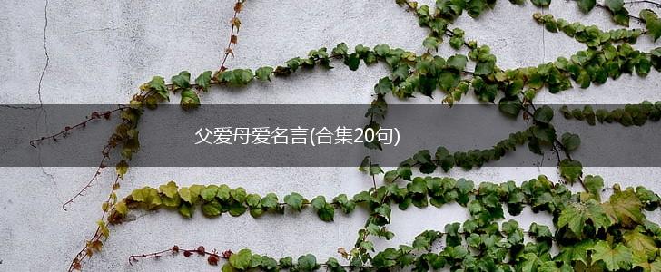 父爱母爱名言(合集20句),第1张
