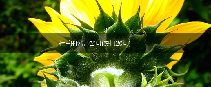 杜甫的名言警句(热门20句),第1张