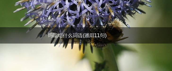 玛能组什么词语(通用11句),第1张