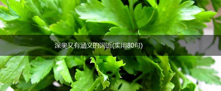 深奥又有涵义的词语(实用80句),第1张