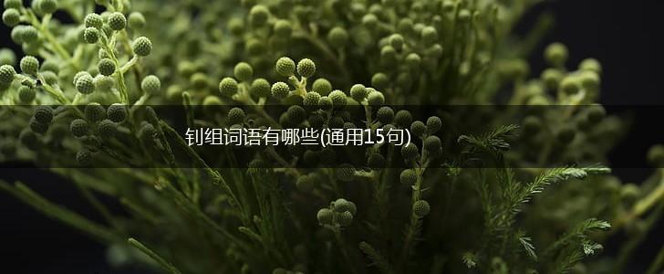 钊组词语有哪些(通用15句),第1张