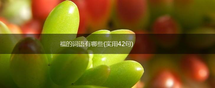 福的词语有哪些(实用42句),第1张