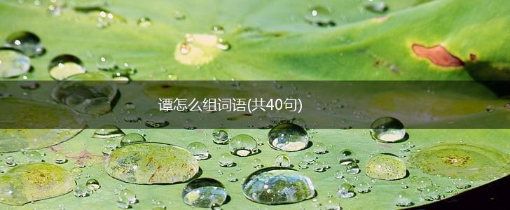 谭怎么组词语(共40句),第1张