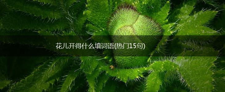 花儿开得什么填词语(热门15句),第1张