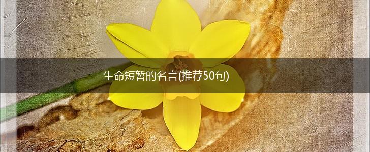 生命短暂的名言(推荐50句),第1张