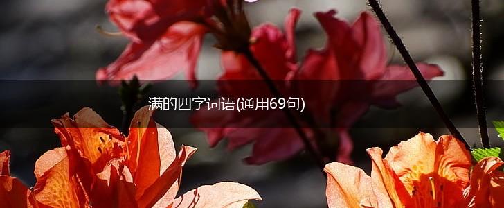 满的四字词语(通用69句),第1张