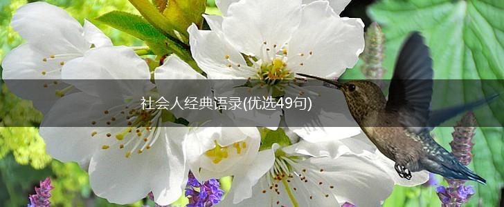 社会人经典语录(优选49句),第1张