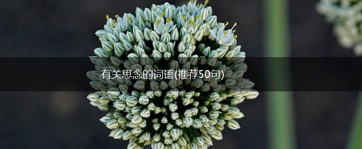 有关思念的词语(推荐50句),第1张