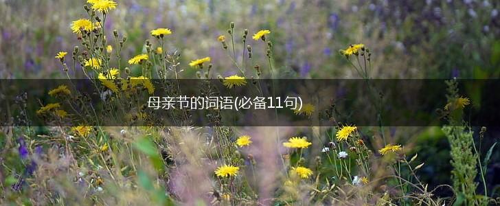 母亲节的词语(必备11句),第1张