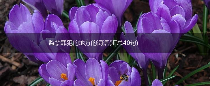 监禁罪犯的地方的词语(汇总40句),第1张 监禁罪犯的地方的词语(汇总40句),第1张