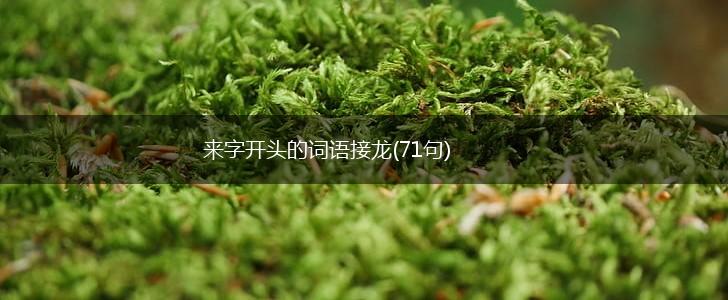 来字开头的词语接龙(71句),第1张