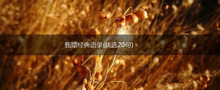 甄嬛经典语录(优选20句),第1张