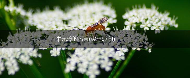 朱元璋的名言(实用97句),第1张