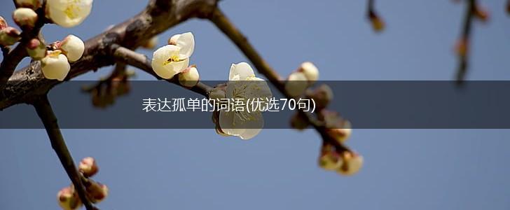 表达孤单的词语(优选70句),第1张