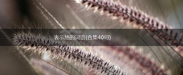 表示热的词语(合集40句),第1张 表示热的词语(合集40句),第1张