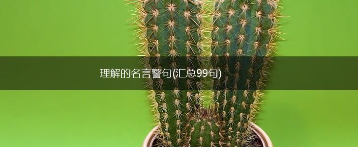 理解的名言警句(汇总99句),第1张