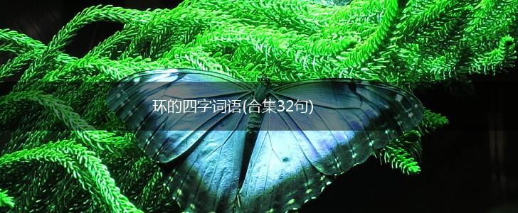 环的四字词语(合集32句),第1张