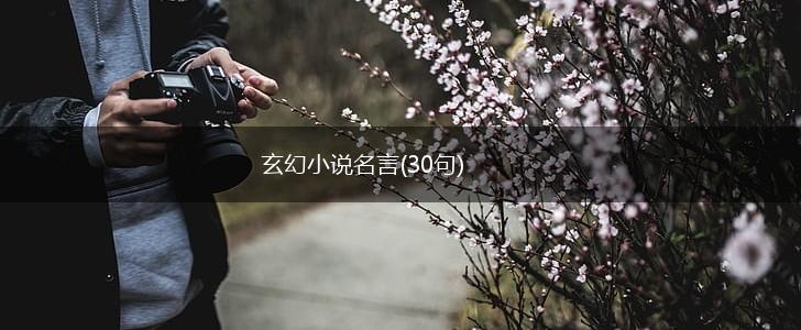 玄幻小说名言(30句),第1张