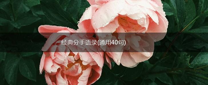 经典分手语录(通用40句),第1张
