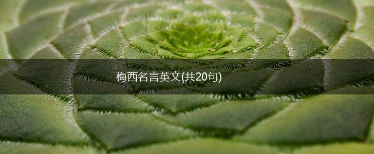 梅西名言英文(共20句),第1张 梅西名言英文(共20句),第1张